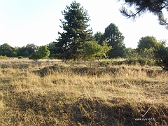 Un terrain complètement bosselé..